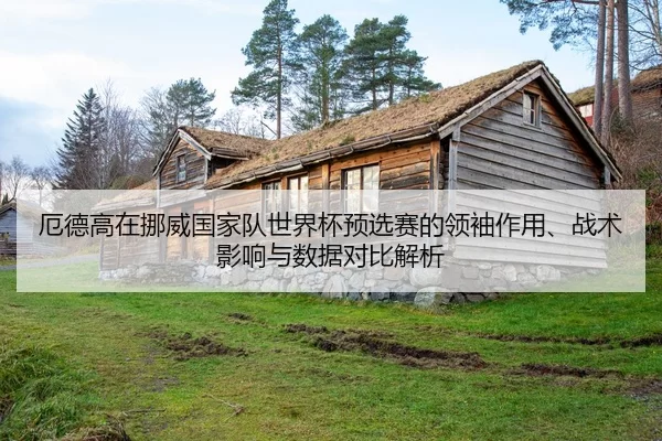 厄德高在挪威国家队世界杯预选赛的领袖作用、战术影响与数据对比解析