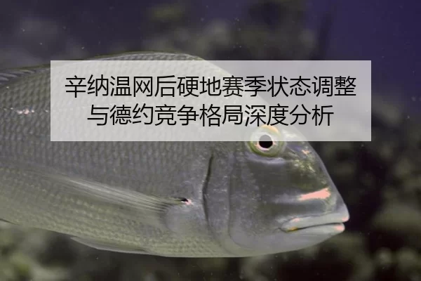 xin-na-wen-wang-hou-ying-di-sai-ji-zhuang-tai-tiao-zheng-yu-de-yue-jing-zheng-ge-ju-shen-du-fen-xi-3-134.jpg